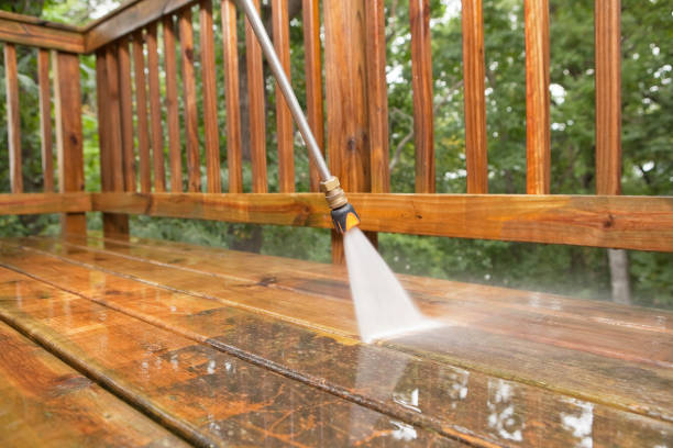 Best Driveway Pressure Washing  in Ridgeville, SC